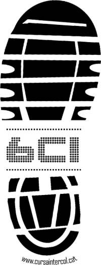 Logo 6CI_PNG (2)