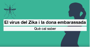 zika_embar