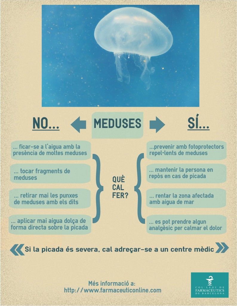 meduses-infografia