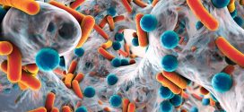 Novetats en l’àmbit de la microbiota i en el maneig dels probiòtics i prebiòtics
