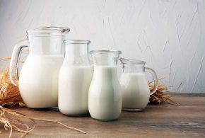 Intolerància a la lactosa: símptomes, causes  i recomanacions